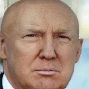 Meet your Posher, Paul